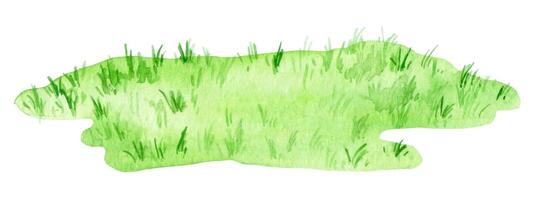 watercolor drawing, green lawn. cute isolated illustration with green grass vector
