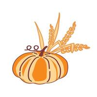 Autumn arrangement with a pumpkin and wheat stalks on a white background vector