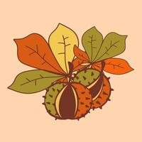 Two chestnuts surrounded by colorful autumn leaves on a light background vector