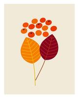 Stylized illustration of autumn leaves and berries on a light background vector