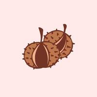 Two brown chestnuts with spiky shells on a light pink background vector