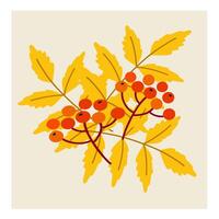Bright orange berries with yellow leaves against a light background in autumn landscape vector