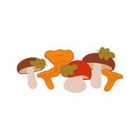 A collection of colorful mushrooms in various shapes on a white background vector