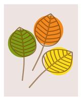 Three colorful leaves with intricate veins against a light background, showcasing vector
