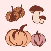 Various types of mushrooms and pumpkins displayed against a pink background vector