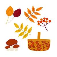 Colorful autumn leaves, mushrooms, and berries arranged with a wicker basket on a white background vector