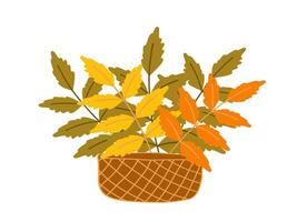 Colorful autumn leaves in a decorative pot on a white background vector