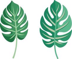 Monstera Tree leaves flat color image vector