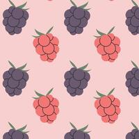 Pattern blackberries and raspberries, summer berries pattern, packaging, banner, wrapping paper vector
