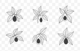 Print Avocado Tree Leaves Line Art Set with Detailed Foliage Illustrations for Design Projects vector