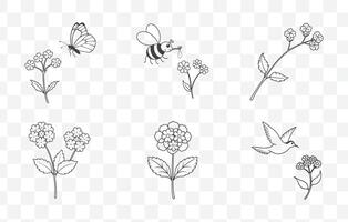 Print Elegant Sweet Pea Line Art Collection with Detailed Floral Illustrations for Artistic and Botanical Designs vector