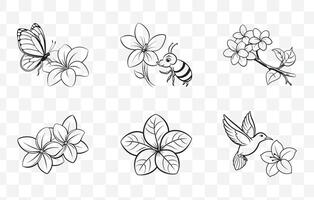 Print Plumeria Botanical Line Art Set with Floral Illustrations and Tropical Flower Designs vector