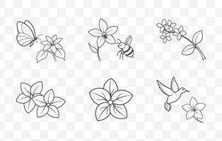 Stephanotis Line Art Set Elegant Floral Illustrations for Graphic Design and Craft Projects vector