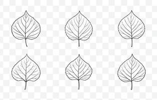 Print Detailed Aspen Tree Leaves Line Art Set for Nature Inspired Designs and Illustrations vector