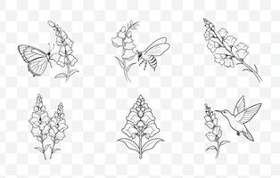 Print Snapdragon Flower Botanical Line Art Set for Floral Designs and Illustrations vector