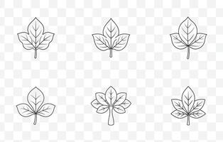 Detailed Baobab Tree Leaves Line Art Set Featuring Various Leaf Designs and Botanical Elements vector