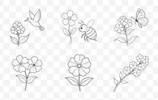 Print Phlox Flower Line Art Set Botanical Illustrations of Phlox Blossoms for Design and Art Projects vector