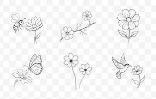 Print Comprehensive Cosmos Flower Line Art Set Featuring Detailed Botanical Illustrations for Creative Design Projects vector