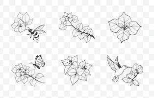 Print Elegant Bougainvillea Line Art Set Featuring Intricate Floral Designs and Detailed Botanical Illustrations vector