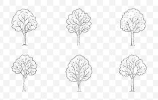 Print Aspen Tree Line Art Set with Detailed Illustrations of Leaves Branches and Trunks for Design Projects vector