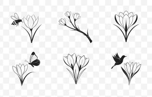 Print Elegant Crocus Flower Line Art Set Perfect for Botanical Illustrations Graphic Design and Artistic Projects vector