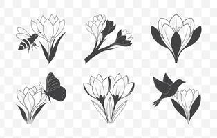 Print Crocus Botanical Line Art Collection of Elegant Floral Illustrations vector