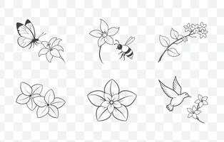 Stephanotis Line Art Set Elegant Floral Illustrations for Graphic Design and Craft Projects vector