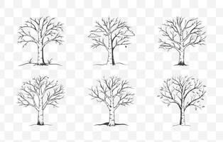 Print Dead Aspen Tree Silhouette and Line Art Set of Various Poses and Angles vector
