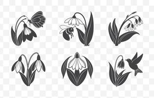 Print Snowdrop Flower Botanical Line Art Set Elegant Floral Illustrations for Design and Decor vector