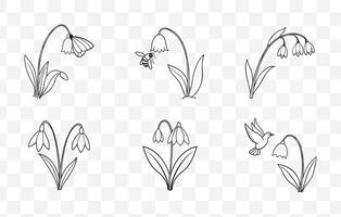 Print Snowdrop Flower Botanical Line Art Set Elegant Floral Illustrations for Design and Decor vector