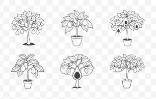 Print Detailed Avocado Tree Line Art Set for Botanical Illustrations and Nature Inspired Designs vector