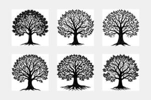 Camphor tree, decorative pattern, black silhouette of bonsai on a transparent background, vector