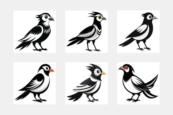 set of birds