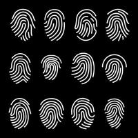 Fingerprint scan tech digital for decorate vector