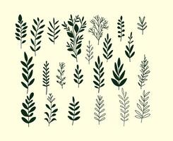 illustration set of various green leafy branches in a minimalist style on a light beige background. Perfect for nature-themed designs, botanical prints, or decorative elements vector