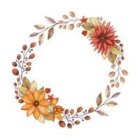 Fall flower wreath with watercolor Aster and branch of berries. Hand drawn red and orange floral frame with blooming in rustic style. Perfect for autumn botanical invitation and card designs. vector