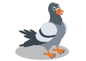 Pigeon cartoon flat design isolated on white background vector
