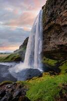 Majestic Seljalandsfoss Waterfall at Sunset in Iceland with Lush Green Landscape photo