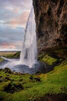 Majestic Seljalandsfoss Waterfall at Sunset in Iceland with Lush Green Landscape photo