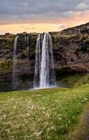 Majestic Seljalandsfoss Waterfall at Sunset in Iceland with Lush Green Landscape photo
