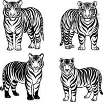 silhouette tiger with design eps file vector