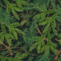 Seamless camouflage pattern with fir twigs with green needles, dry sticks. Forest nature elements. For apparel, fabric, textile, sport goods. vector