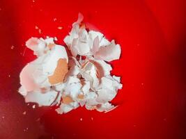a collection of crushed egg shells on a red background photo