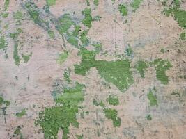 background with a close-up texture that resembles a map pattern with various green patches distributed across the beige background photo