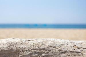 Close-up of a wooden log on a sandy beach with the ocean and sky in the background. photo