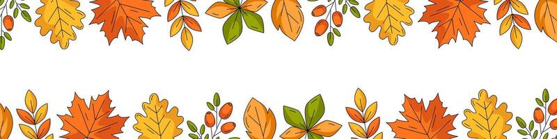 Autumn narrow horizontal banner, space for text. Colorful top and bottom frame with fall seasonal maple, oak, aspen leaves, rosehip. For poster, flyer, card, page header, festival or party vector
