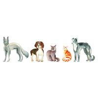 A set of watercolor illustrations. Pets, dogs of different breeds, beagle, greyhound, grey and red cat. All objects are hand-drawn with watercolors. Suitable for printing on fabric, paper, for books vector