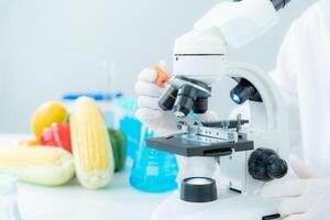 Scientist check chemical food residues in laboratory. Control experts inspect quality of vegetables vegetables. lab, hazards, find prohibited substances, contaminate, Microscope, Microbiologist photo
