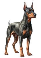 Doberman Dog at Home Animal 3d Render png