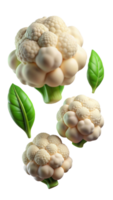 Whimsical Cauliflower Blossoms 3d Render png